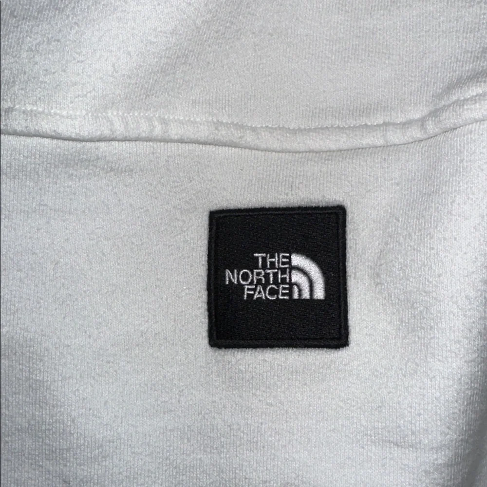 The North Face Men's Geary Pullover Hoodie size‎ L *stained-see photos